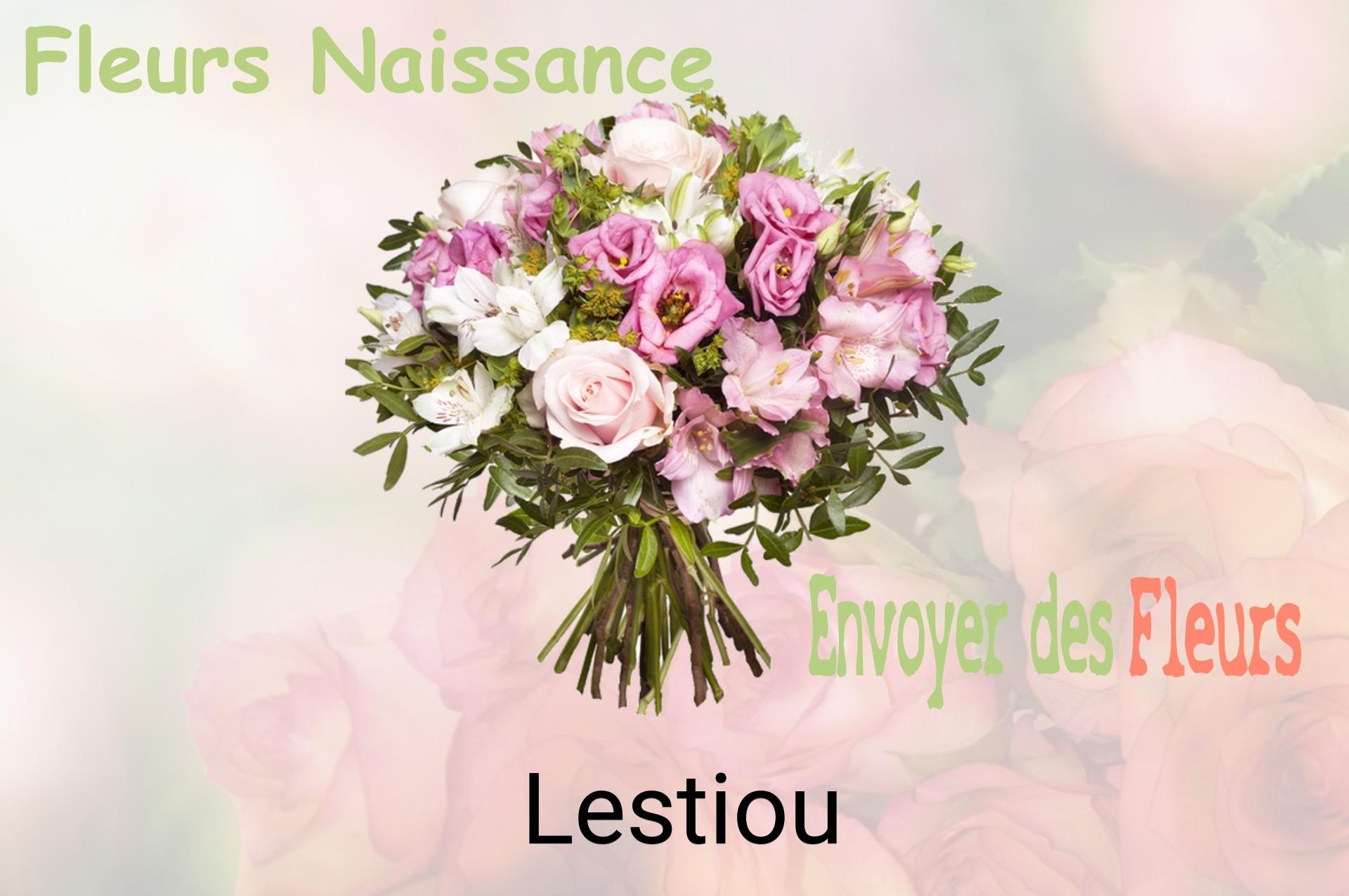 Bouquet de fleurs de naissance livré à Lestiou